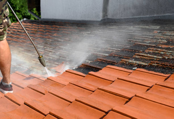 Best House Pressure Washing  in Ladysmith, WI