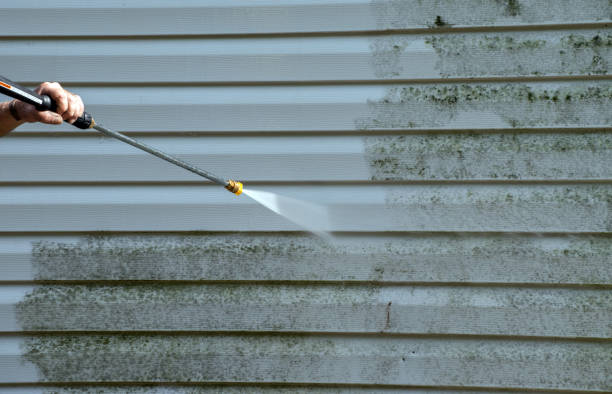 Best Affordable Power Washing  in Ladysmith, WI