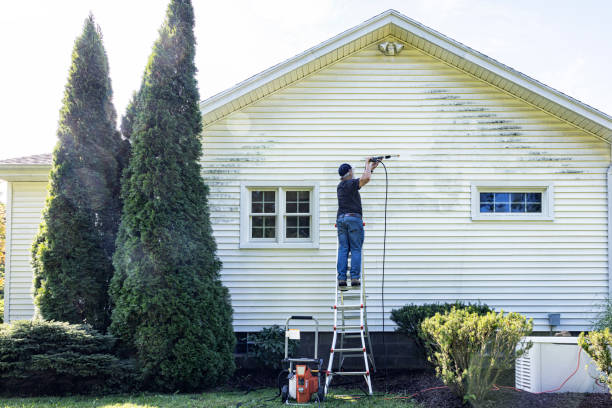 Best Local Pressure Washing Services  in Ladysmith, WI