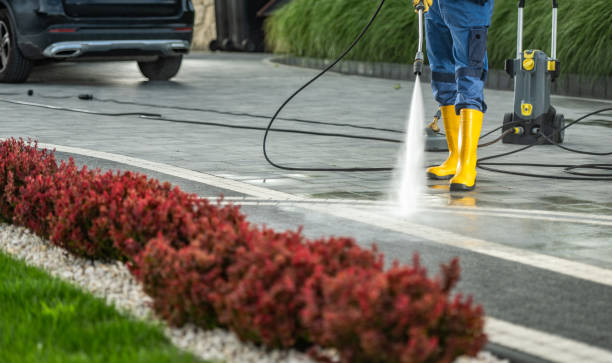 Best Pressure Washing Estimates  in Ladysmith, WI