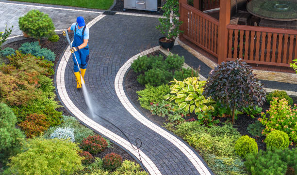 Best Deck Cleaning Services  in Ladysmith, WI