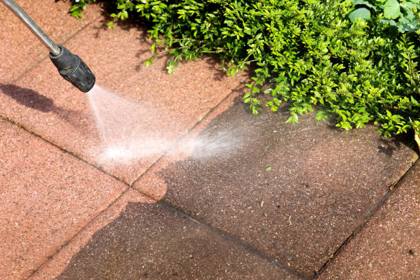 Best Deck Pressure Washing  in Ladysmith, WI